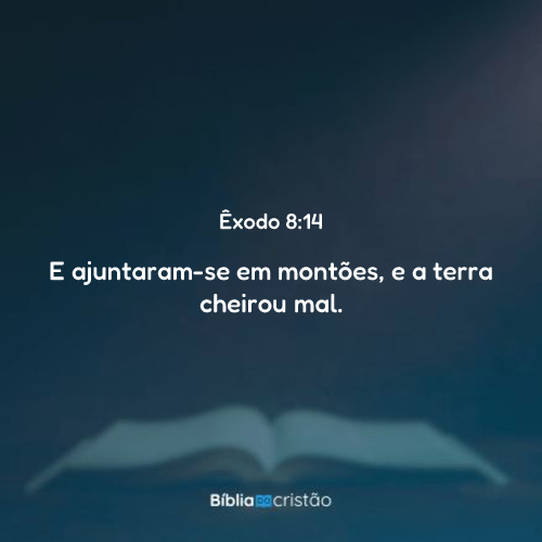 Imagem do versículo