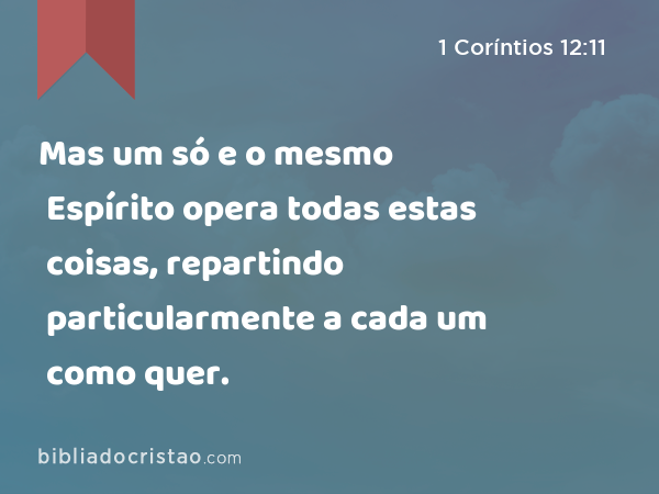 Mas um só e o mesmo Espírito opera todas estas coisas, repartindo particularmente a cada um como quer. - 1 Coríntios 12:11