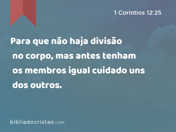 Para que não haja divisão no corpo, mas antes tenham os membros igual cuidado uns dos outros. - 1 Coríntios 12:25