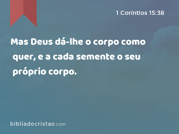 Mas Deus dá-lhe o corpo como quer, e a cada semente o seu próprio corpo. - 1 Coríntios 15:38