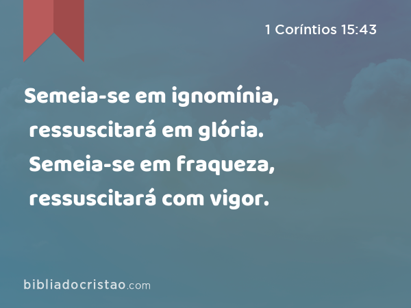 Semeia-se em ignomínia, ressuscitará em glória. Semeia-se em fraqueza, ressuscitará com vigor. - 1 Coríntios 15:43