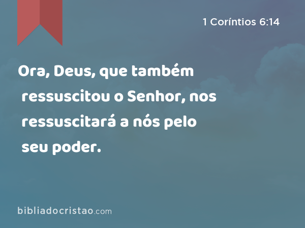 Ora, Deus, que também ressuscitou o Senhor, nos ressuscitará a nós pelo seu poder. - 1 Coríntios 6:14