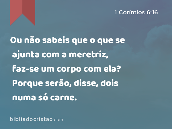 Ou não sabeis que o que se ajunta com a meretriz, faz-se um corpo com ela? Porque serão, disse, dois numa só carne. - 1 Coríntios 6:16