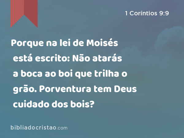 Porque na lei de Moisés está escrito: Não atarás a boca ao boi que trilha o grão. Porventura tem Deus cuidado dos bois? - 1 Coríntios 9:9