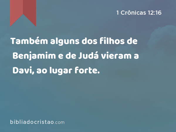 Também alguns dos filhos de Benjamim e de Judá vieram a Davi, ao lugar forte. - 1 Crônicas 12:16