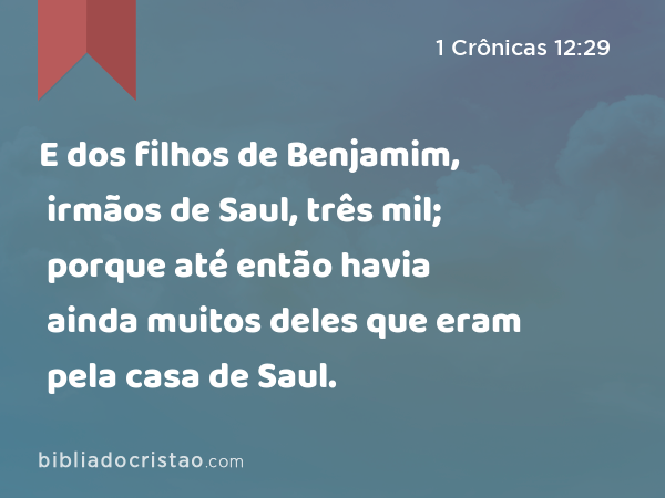 E dos filhos de Benjamim, irmãos de Saul, três mil; porque até então havia ainda muitos deles que eram pela casa de Saul. - 1 Crônicas 12:29