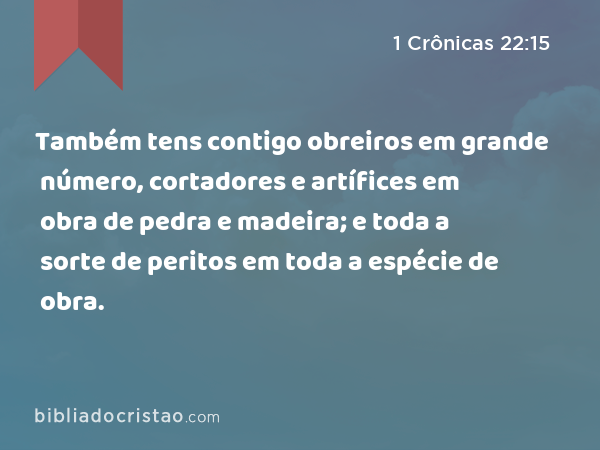 Também tens contigo obreiros em grande número, cortadores e artífices em obra de pedra e madeira; e toda a sorte de peritos em toda a espécie de obra. - 1 Crônicas 22:15