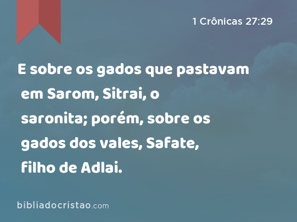 E sobre os gados que pastavam em Sarom, Sitrai, o saronita; porém, sobre os gados dos vales, Safate, filho de Adlai. - 1 Crônicas 27:29