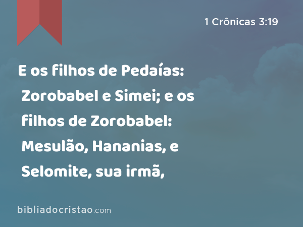 E os filhos de Pedaías: Zorobabel e Simei; e os filhos de Zorobabel: Mesulão, Hananias, e Selomite, sua irmã, - 1 Crônicas 3:19