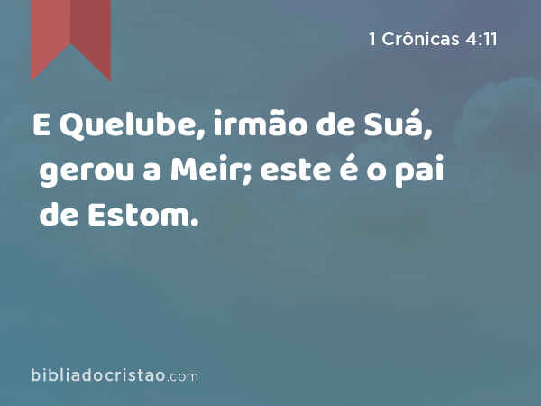 E Quelube, irmão de Suá, gerou a Meir; este é o pai de Estom. - 1 Crônicas 4:11