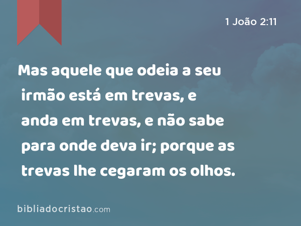 Mas aquele que odeia a seu irmão está em trevas, e anda em trevas, e não sabe para onde deva ir; porque as trevas lhe cegaram os olhos. - 1 João 2:11