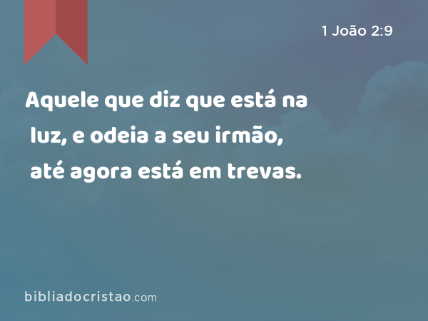 Aquele que diz que está na luz, e odeia a seu irmão, até agora está em trevas. - 1 João 2:9