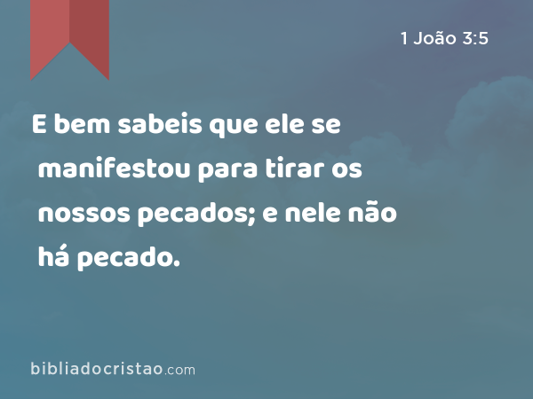 E bem sabeis que ele se manifestou para tirar os nossos pecados; e nele não há pecado. - 1 João 3:5