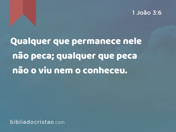 Qualquer que permanece nele não peca; qualquer que peca não o viu nem o conheceu. - 1 João 3:6