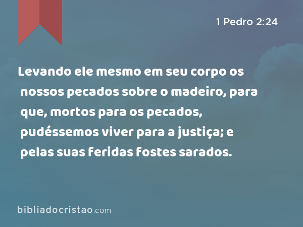 Levando ele mesmo em seu corpo os nossos pecados sobre o madeiro, para que, mortos para os pecados, pudéssemos viver para a justiça; e pelas suas feridas fostes sarados. - 1 Pedro 2:24