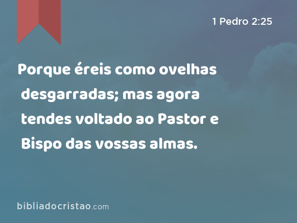 Porque éreis como ovelhas desgarradas; mas agora tendes voltado ao Pastor e Bispo das vossas almas. - 1 Pedro 2:25