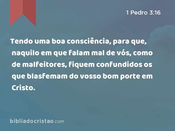 Tendo uma boa consciência, para que, naquilo em que falam mal de vós, como de malfeitores, fiquem confundidos os que blasfemam do vosso bom porte em Cristo. - 1 Pedro 3:16