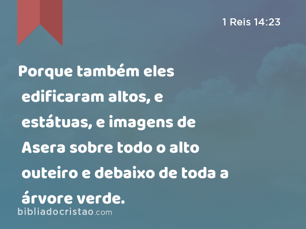 Porque também eles edificaram altos, e estátuas, e imagens de Asera sobre todo o alto outeiro e debaixo de toda a árvore verde. - 1 Reis 14:23