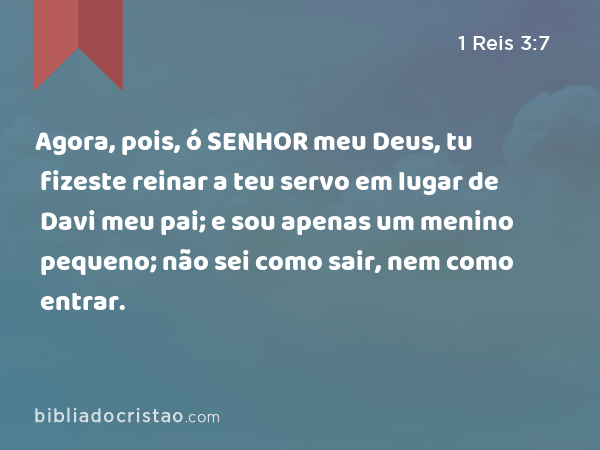 Agora, pois, ó SENHOR meu Deus, tu fizeste reinar a teu servo em lugar de Davi meu pai; e sou apenas um menino pequeno; não sei como sair, nem como entrar. - 1 Reis 3:7