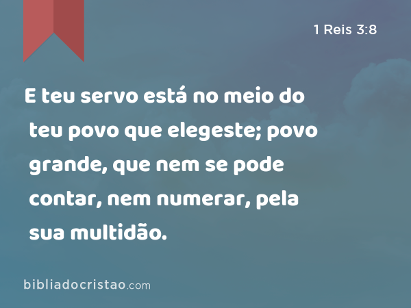 E teu servo está no meio do teu povo que elegeste; povo grande, que nem se pode contar, nem numerar, pela sua multidão. - 1 Reis 3:8