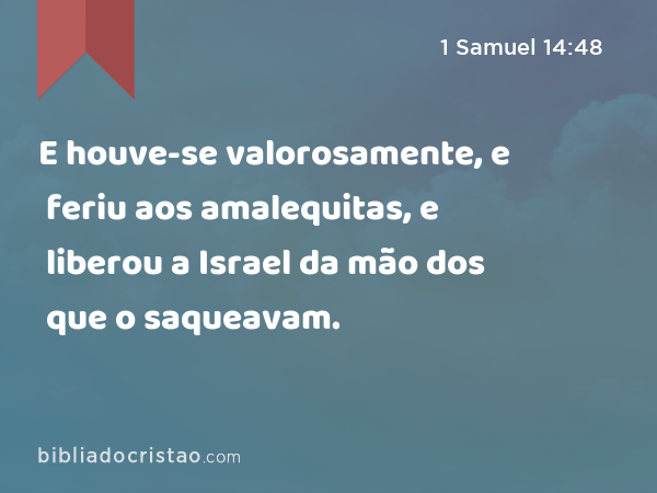 E houve-se valorosamente, e feriu aos amalequitas, e liberou a Israel da mão dos que o saqueavam. - 1 Samuel 14:48