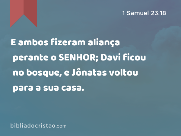 E ambos fizeram aliança perante o SENHOR; Davi ficou no bosque, e Jônatas voltou para a sua casa. - 1 Samuel 23:18