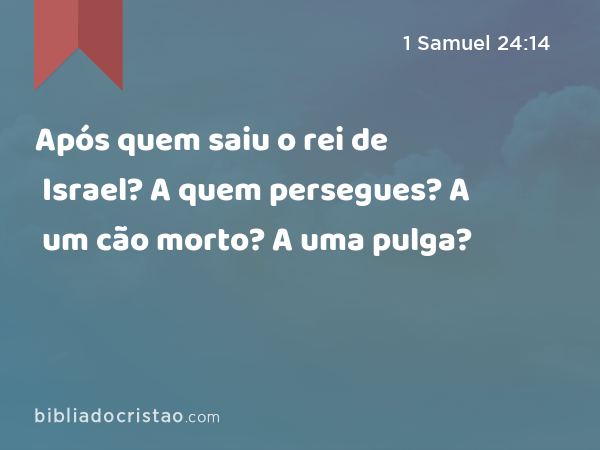 Após quem saiu o rei de Israel? A quem persegues? A um cão morto? A uma pulga? - 1 Samuel 24:14