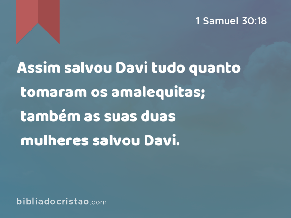 Assim salvou Davi tudo quanto tomaram os amalequitas; também as suas duas mulheres salvou Davi. - 1 Samuel 30:18