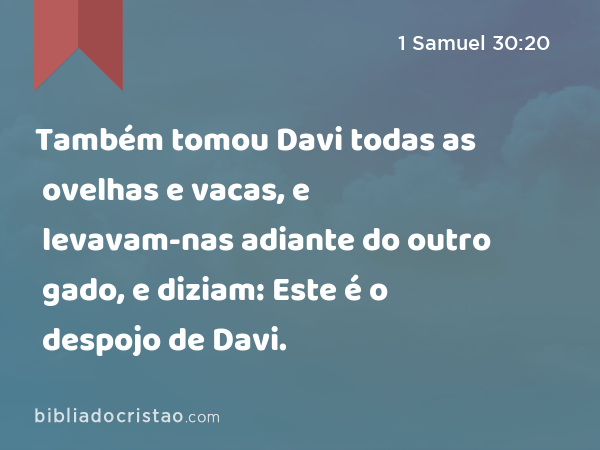 Também tomou Davi todas as ovelhas e vacas, e levavam-nas adiante do outro gado, e diziam: Este é o despojo de Davi. - 1 Samuel 30:20