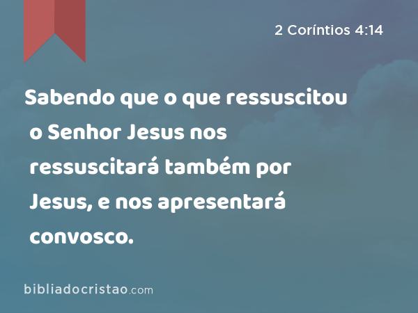 Sabendo que o que ressuscitou o Senhor Jesus nos ressuscitará também por Jesus, e nos apresentará convosco. - 2 Coríntios 4:14