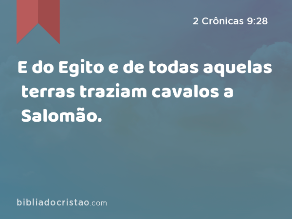 E do Egito e de todas aquelas terras traziam cavalos a Salomão. - 2 Crônicas 9:28