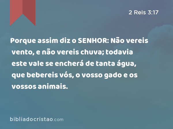 Porque assim diz o SENHOR: Não vereis vento, e não vereis chuva; todavia este vale se encherá de tanta água, que bebereis vós, o vosso gado e os vossos animais. - 2 Reis 3:17