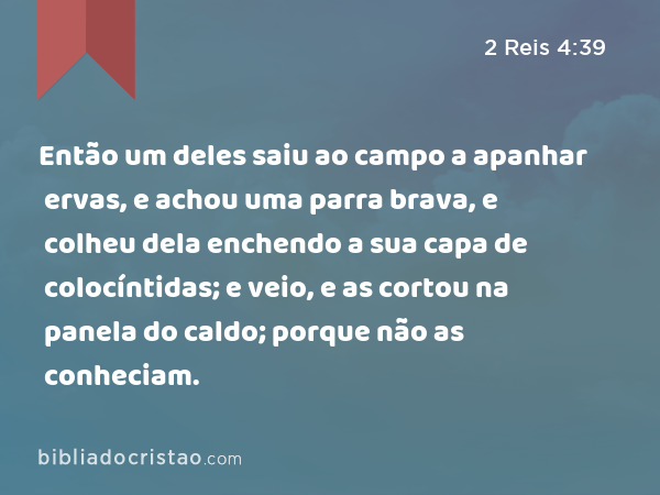 Então um deles saiu ao campo a apanhar ervas, e achou uma parra brava, e colheu dela enchendo a sua capa de colocíntidas; e veio, e as cortou na panela do caldo; porque não as conheciam. - 2 Reis 4:39