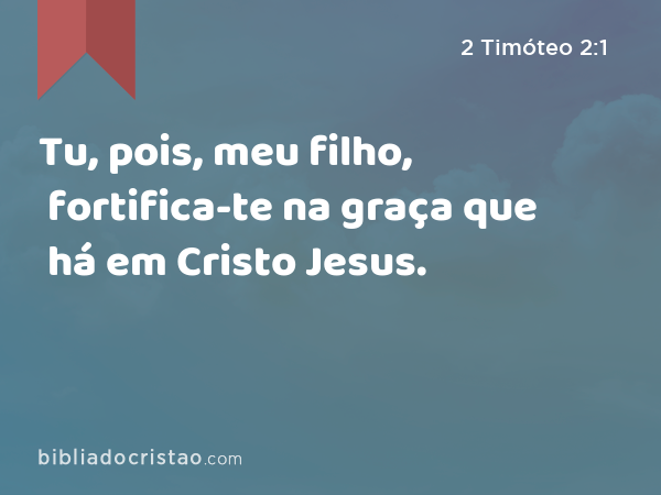 Tu, pois, meu filho, fortifica-te na graça que há em Cristo Jesus. - 2 Timóteo 2:1