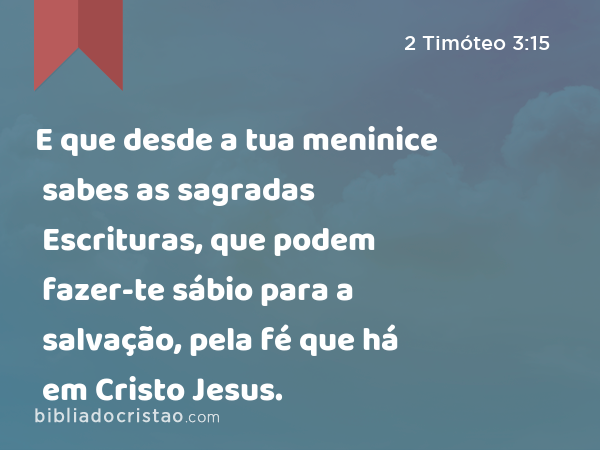 E que desde a tua meninice sabes as sagradas Escrituras, que podem fazer-te sábio para a salvação, pela fé que há em Cristo Jesus. - 2 Timóteo 3:15