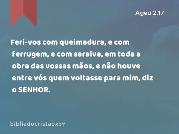 Feri-vos com queimadura, e com ferrugem, e com saraiva, em toda a obra das vossas mãos, e não houve entre vós quem voltasse para mim, diz o SENHOR. - Ageu 2:17