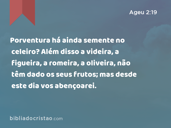 Porventura há ainda semente no celeiro? Além disso a videira, a figueira, a romeira, a oliveira, não têm dado os seus frutos; mas desde este dia vos abençoarei. - Ageu 2:19