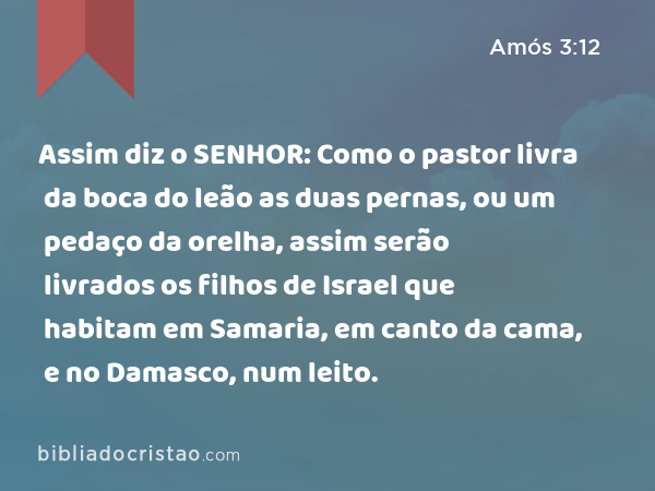 Assim diz o SENHOR: Como o pastor livra da boca do leão as duas pernas, ou um pedaço da orelha, assim serão livrados os filhos de Israel que habitam em Samaria, em canto da cama, e no Damasco, num leito. - Amós 3:12