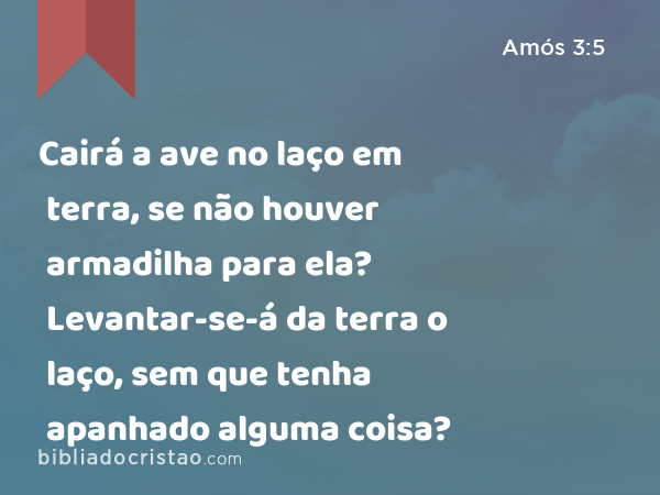 Cairá a ave no laço em terra, se não houver armadilha para ela? Levantar-se-á da terra o laço, sem que tenha apanhado alguma coisa? - Amós 3:5