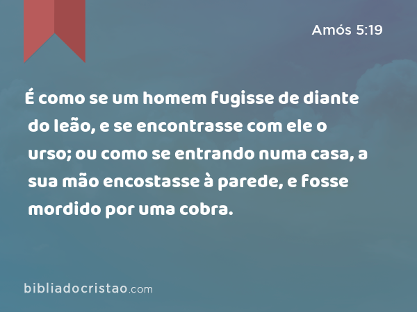 É como se um homem fugisse de diante do leão, e se encontrasse com ele o urso; ou como se entrando numa casa, a sua mão encostasse à parede, e fosse mordido por uma cobra. - Amós 5:19