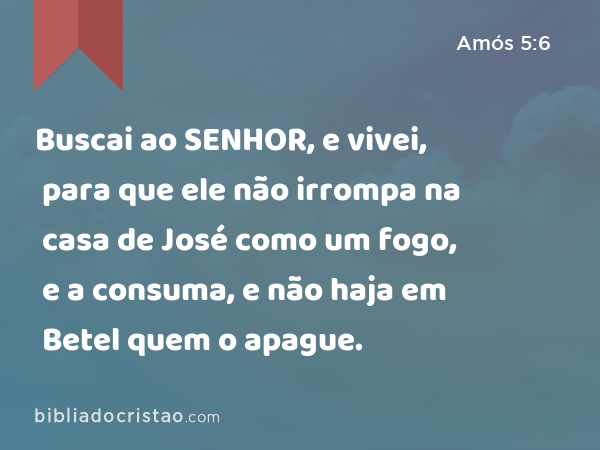 Buscai ao SENHOR, e vivei, para que ele não irrompa na casa de José como um fogo, e a consuma, e não haja em Betel quem o apague. - Amós 5:6