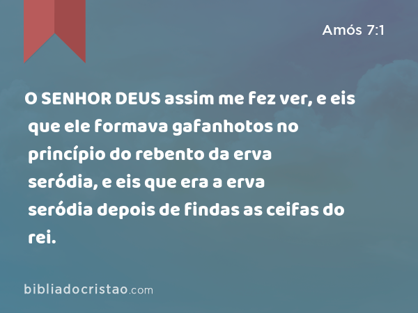 O SENHOR DEUS assim me fez ver, e eis que ele formava gafanhotos no princípio do rebento da erva seródia, e eis que era a erva seródia depois de findas as ceifas do rei. - Amós 7:1