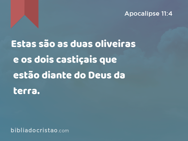 Estas são as duas oliveiras e os dois castiçais que estão diante do Deus da terra. - Apocalipse 11:4