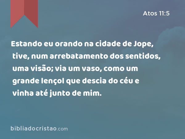 Estando eu orando na cidade de Jope, tive, num arrebatamento dos sentidos, uma visão; via um vaso, como um grande lençol que descia do céu e vinha até junto de mim. - Atos 11:5