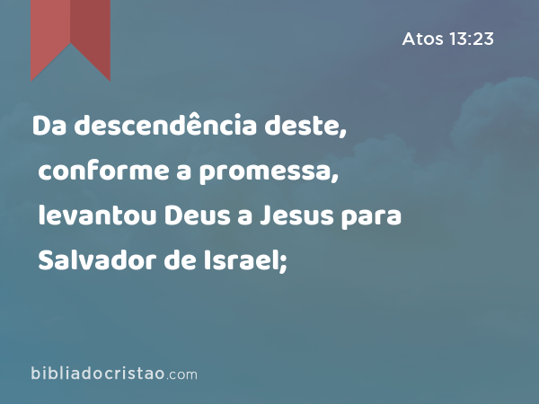 Da descendência deste, conforme a promessa, levantou Deus a Jesus para Salvador de Israel; - Atos 13:23