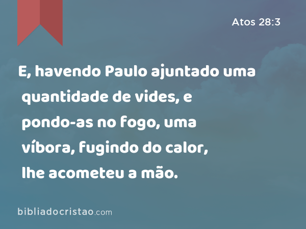 E, havendo Paulo ajuntado uma quantidade de vides, e pondo-as no fogo, uma víbora, fugindo do calor, lhe acometeu a mão. - Atos 28:3