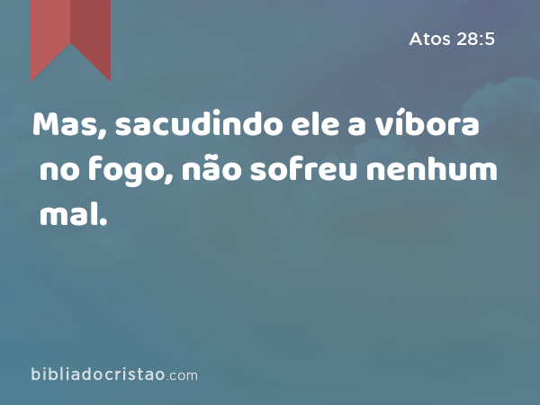 Mas, sacudindo ele a víbora no fogo, não sofreu nenhum mal. - Atos 28:5