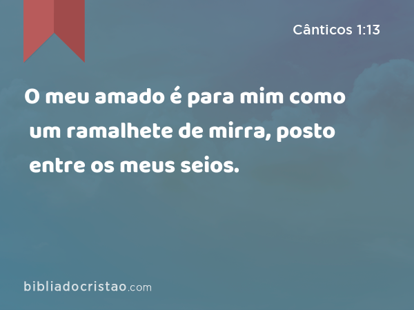 O meu amado é para mim como um ramalhete de mirra, posto entre os meus seios. - Cânticos 1:13