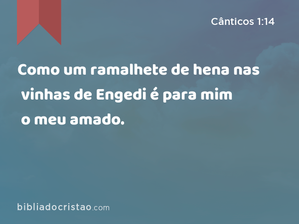 Como um ramalhete de hena nas vinhas de Engedi é para mim o meu amado. - Cânticos 1:14