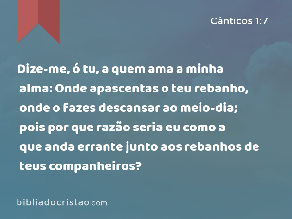 Dize-me, ó tu, a quem ama a minha alma: Onde apascentas o teu rebanho, onde o fazes descansar ao meio-dia; pois por que razão seria eu como a que anda errante junto aos rebanhos de teus companheiros? - Cânticos 1:7